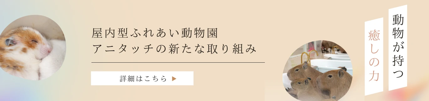 動物が持つ癒しの力｜アニタッチ