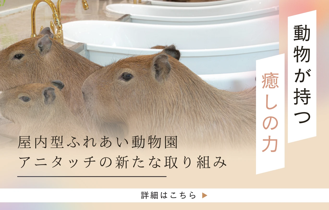 動物が持つ癒しの力｜アニタッチ