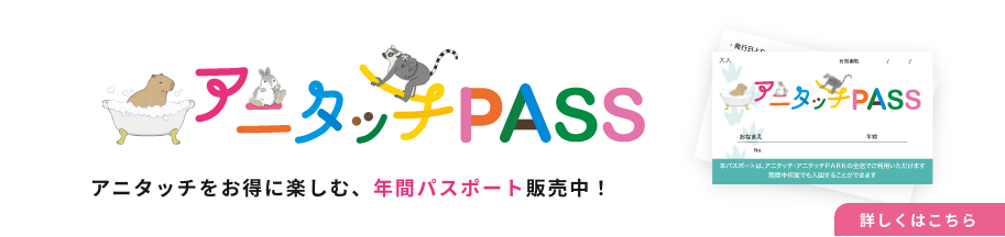 アニタッチ PASSバナー