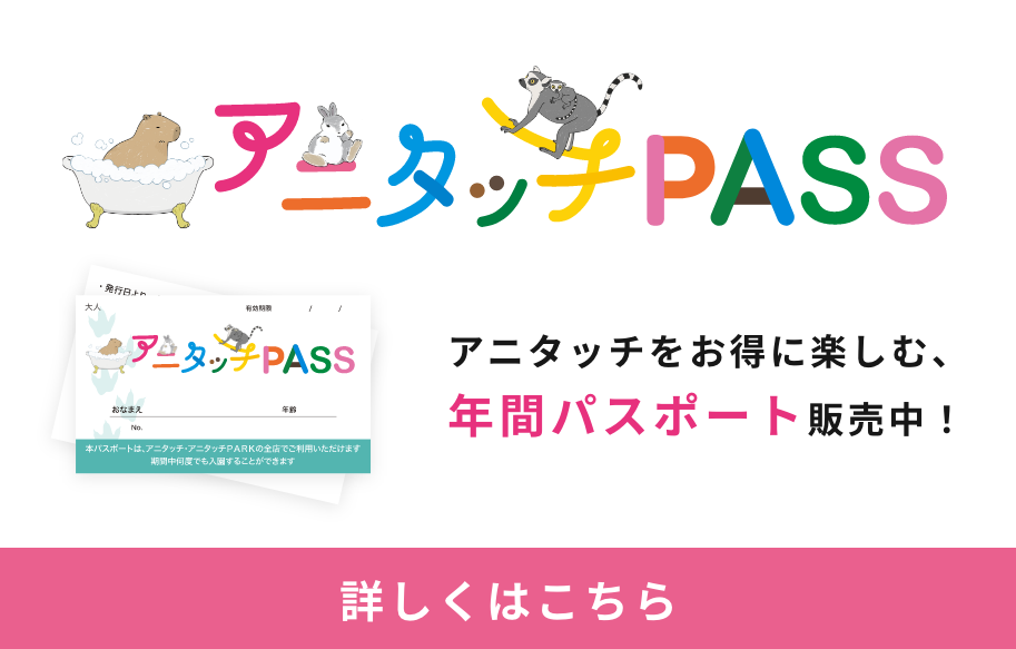 アニタッチ PASSバナー