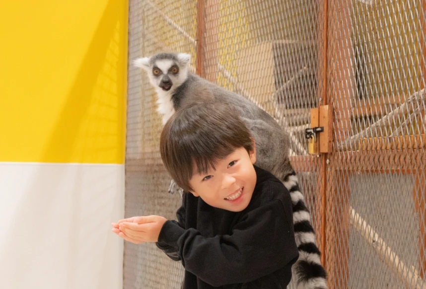 ワオギツネとふれあう子供の写真