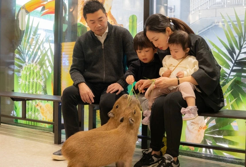 家族でふれあう カピバラの画像