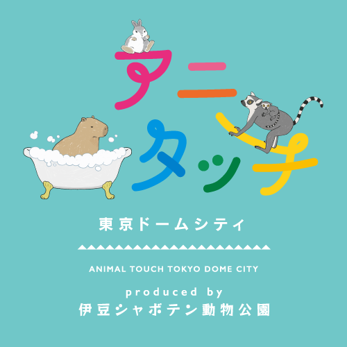 アニタッチ東京ドームシティ